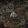 VAARA image