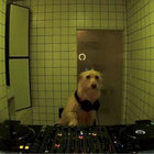 qjmxrgan thumbnail