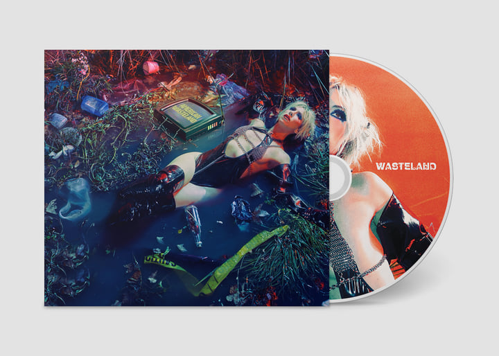 アート・デザイン・音楽 The American Effect 1990-2003 Whitney