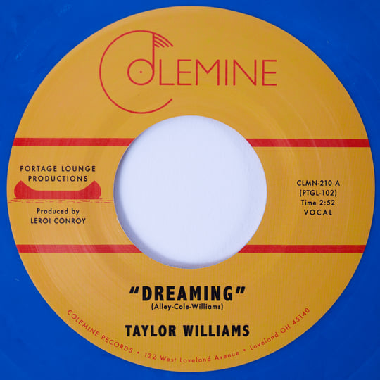 Dreaming / What About Me? | Taylor Williams