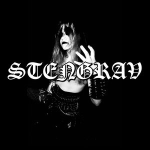 Cover of Stengrav