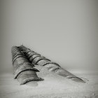 the-white-silence thumbnail