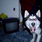 Rottbox thumbnail