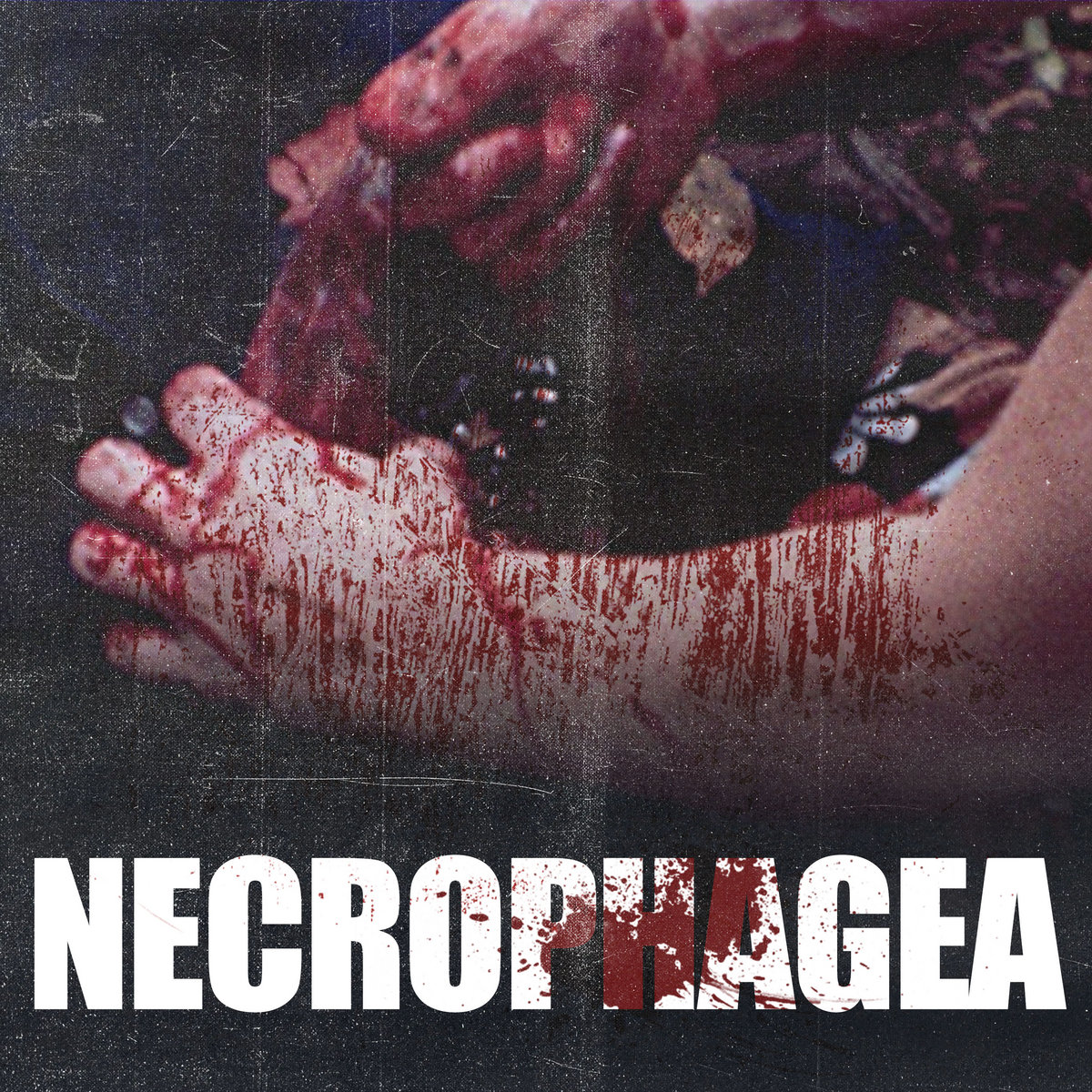 Necrophagea