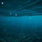 ashallowdepth thumbnail