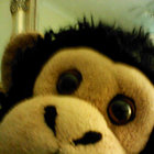 zoggeh thumbnail