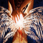 northwesternlights thumbnail