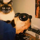 fndbt thumbnail