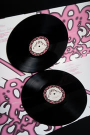 Vinyl/Record, image 2