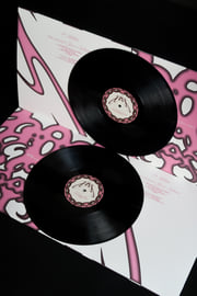 Vinyl/Record, image 3