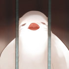 aobaobaoba thumbnail