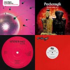 Quiet Music Under the Moon | Calm