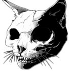 thewhitecrayon thumbnail