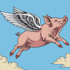 airborneporcine thumbnail