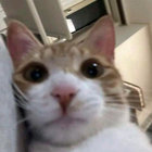 ShitisWack thumbnail