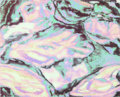 GROOBLEN photo