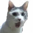 mklm thumbnail