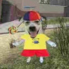 ferretwithacarrot thumbnail