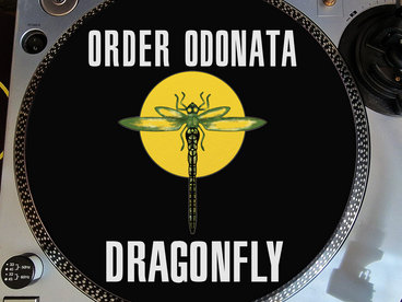 Merch | Dragonfly Records
