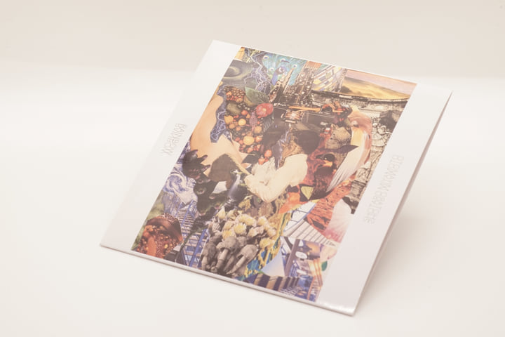 RAINBOW | レインボー | Shotaro Miyamoto 宮本章太郎