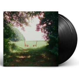 Ratboys - Singin’ to an Empty Chair [Vinyl], image 1