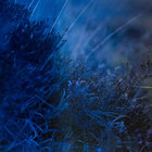 marius thumbnail