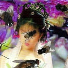 Jen Kaneko thumbnail