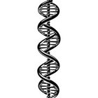 Clay DNA thumbnail