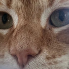 michaelsturman thumbnail