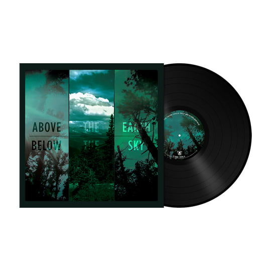 Above the Earth, Below the Sky | If These Trees Could Talk