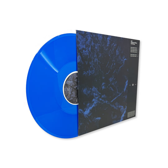 Various Blends / Levitude 2LP レコード Cantus for Winter in Six Parts | zakè | Past Inside the Present
