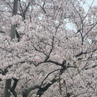 kumori thumbnail