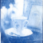 trans_toni thumbnail