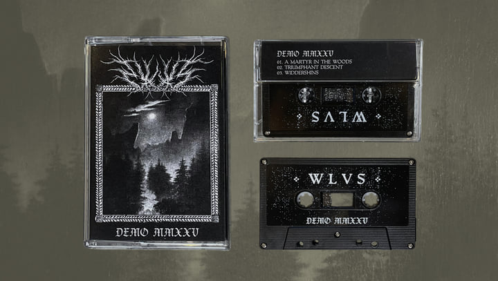 Demo MMXXV | WLVS