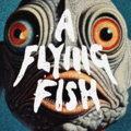 A Flying Fish image