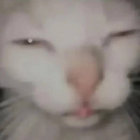 dezertpunk35 thumbnail