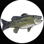 crankbait thumbnail