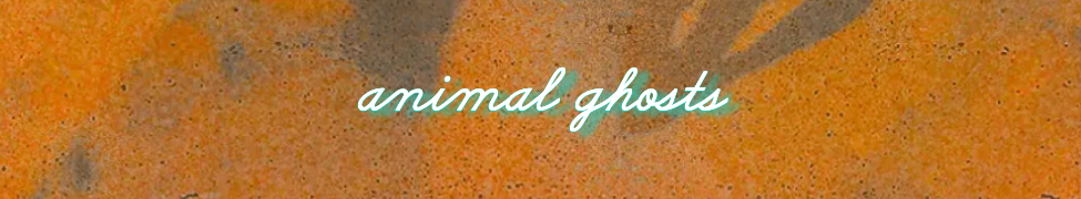 Animal Ghosts — Photo