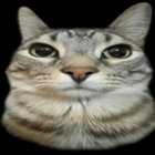coloursofabyss thumbnail
