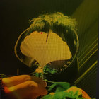 dream:days thumbnail
