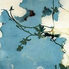 Jeffrey Uzoamaka thumbnail