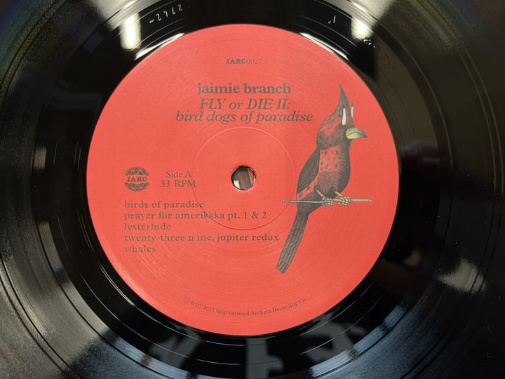 FLY or DIE II: bird dogs of paradise (IA11 edition) | jaimie