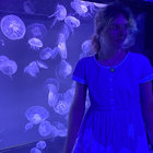 demonindenim thumbnail