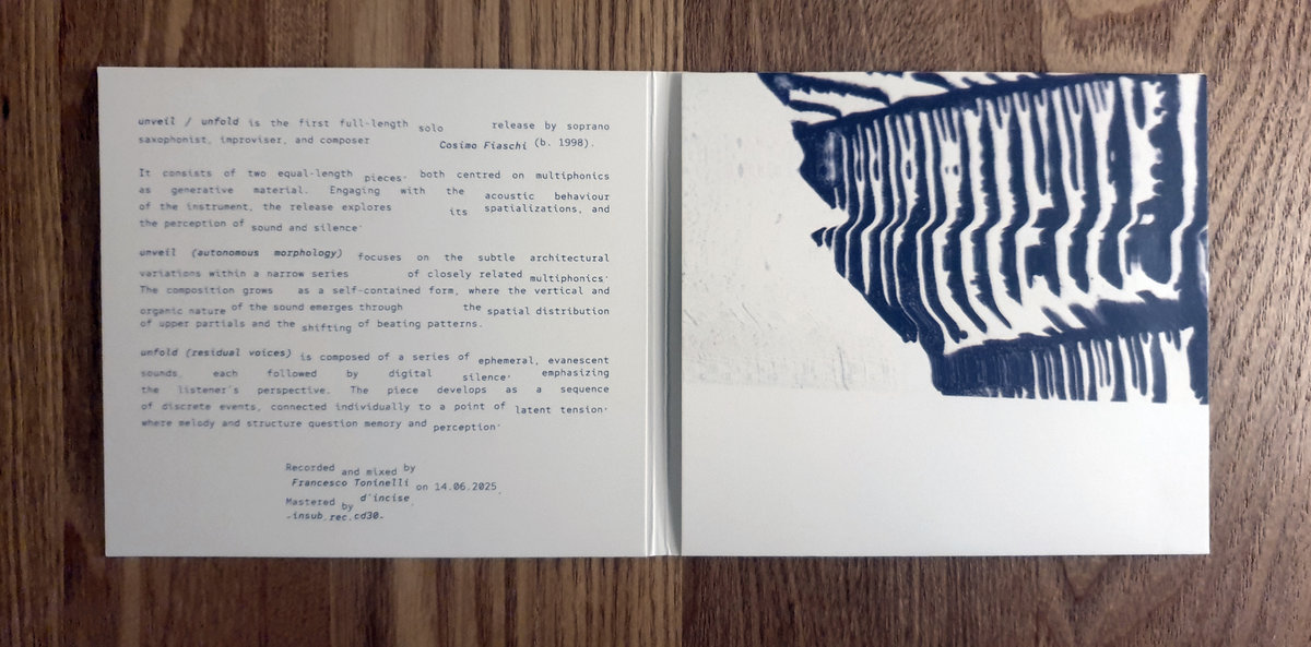 Insub Song unveil / unfold | COSIMO FIASCHI | INSUB records