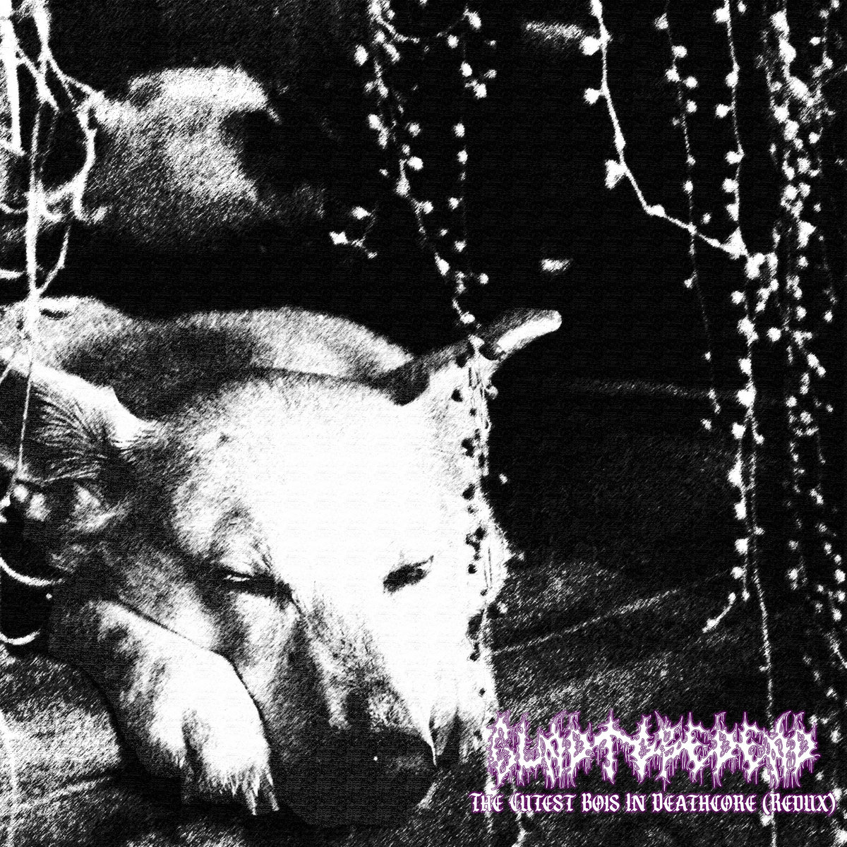 The Cutest Bois In Deathcore (Redux) | Glad To Be Dead