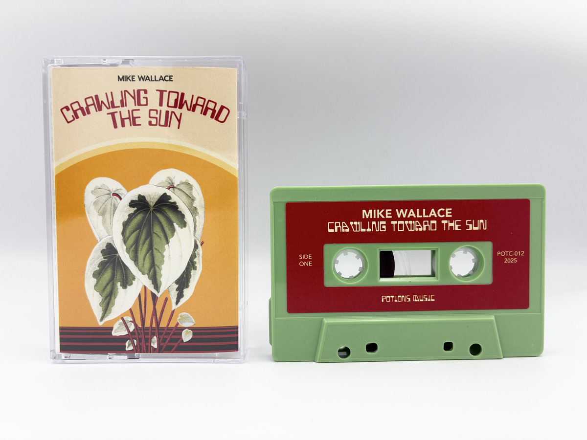 未開封Mike Wallace THEME & BEAT Volume 3 Theme & Beat Volume 3 | Mike Wallace