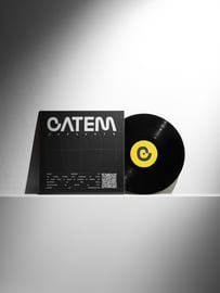 12" Vinyl, image 1
