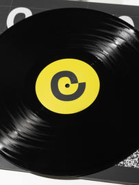 12" Vinyl, image 4