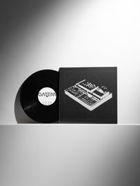 12" Vinyl, image 2