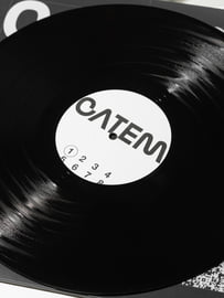 12" Vinyl, image 3